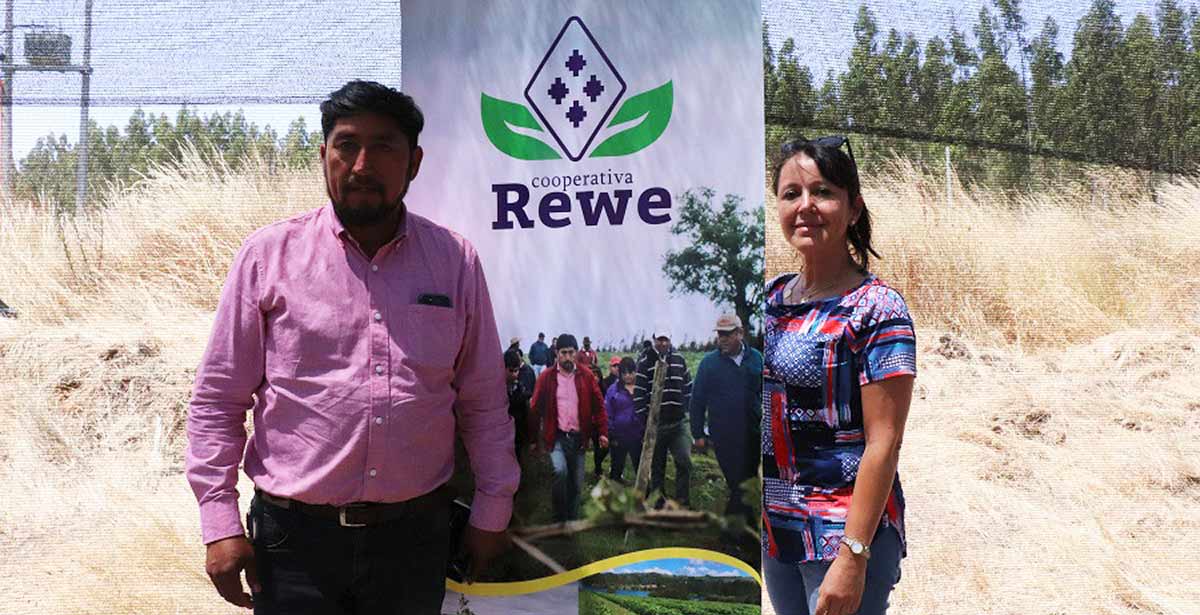 UFRO y Universidad de los Andes trabajan en proyecto que busca fortalecer la gestión de Cooperativa Campesina REWE
